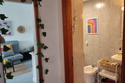 Wohnung zur Miete in Port De Pollenca, Mallorca, Spanien 1 Schlafzimmer, 45 m2 Nr. 149266 - Foto 13