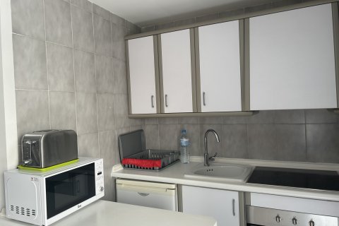 Wohnung zur Miete in Port De Pollenca, Mallorca, Spanien 1 Schlafzimmer, 45 m2 Nr. 149266 - Foto 9