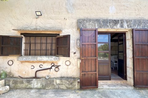 Finca zur Miete in Muro, Mallorca, Spanien 1 Schlafzimmer, 92 m2 Nr. 149269 - Foto 5