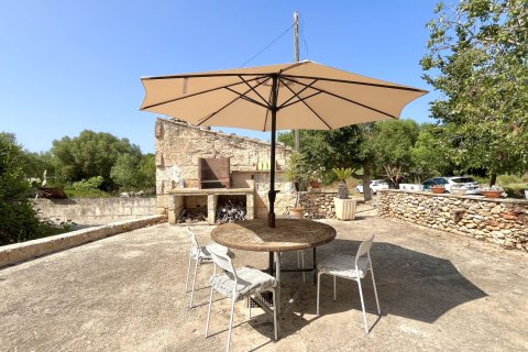 Finca zur Miete in Muro, Mallorca, Spanien 1 Schlafzimmer, 92 m2 Nr. 149269 - Foto 4
