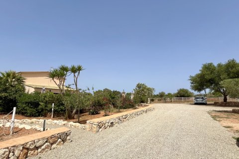 Villa en alquiler en Algaida, Mallorca, España 1 dormitorio, 80 m2 No. 149267 - foto 17