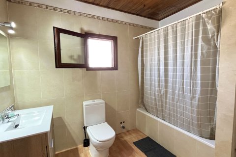 Villa en alquiler en Algaida, Mallorca, España 1 dormitorio, 80 m2 No. 149267 - foto 13