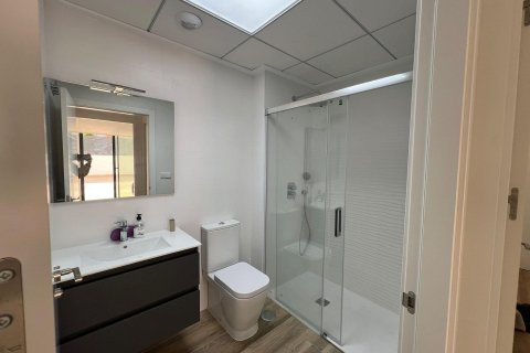 Huoneisto vuokrattavana Los Arenales Del Sol, Alicante, Espanja, 2 makuuhuonetta, 150 m2 No. 138940 - kuva 18