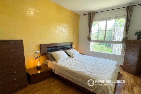 Huoneisto vuokrattavana Palma de Majorca, Mallorca, Espanja, 2 makuuhuonetta, 92 m2 No. 166317 - kuva 11