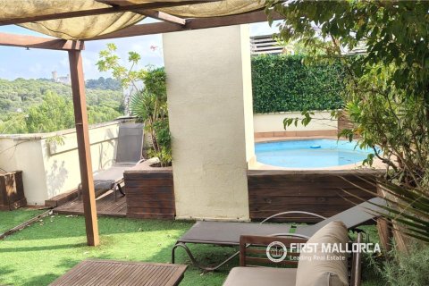Huoneisto vuokrattavana Palma de Majorca, Mallorca, Espanja, 2 makuuhuonetta, 92 m2 No. 166317 - kuva 19