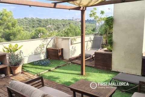 Huoneisto vuokrattavana Palma de Majorca, Mallorca, Espanja, 2 makuuhuonetta, 92 m2 No. 166317 - kuva 18