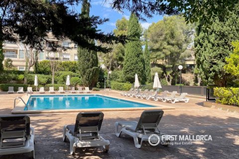 Huoneisto vuokrattavana Palma de Majorca, Mallorca, Espanja, 2 makuuhuonetta, 92 m2 No. 166317 - kuva 23