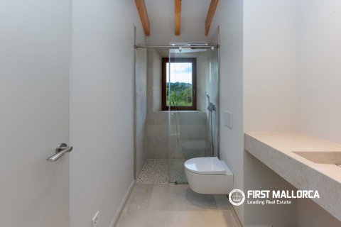 Finca en venta en Alaro, Mallorca, España 4 dormitorios, 508 m2 No. 166315 - foto 13