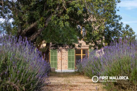 Finca en venta en Alaro, Mallorca, España 4 dormitorios, 508 m2 No. 166315 - foto 3