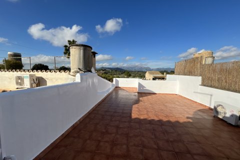 Villa à louer à Llubi, Mallorca, Espagne, 3 chambres, 178 m2 No. 146542 - photo 8