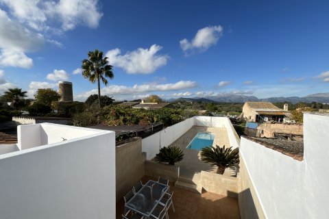 Villa à louer à Llubi, Mallorca, Espagne, 3 chambres, 178 m2 No. 146542 - photo 9