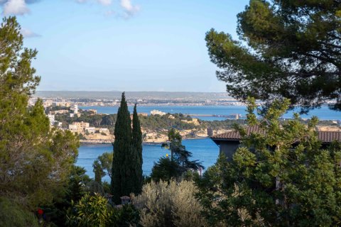 Villa till salu i Cas Catala, Mallorca, Spanien 5 sovrum, 409 kvm. Nr. 146540 - foto 4