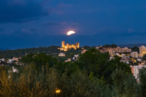 Villa till salu i Cas Catala, Mallorca, Spanien 5 sovrum, 409 kvm. Nr. 146540 - foto 26