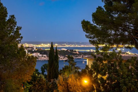 Villa till salu i Cas Catala, Mallorca, Spanien 5 sovrum, 409 kvm. Nr. 146540 - foto 29