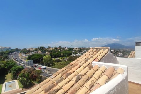 Penthouse à louer à Marbella, Malaga, Espagne, 1 chambre, 65 m2 No. 161013 - photo 3