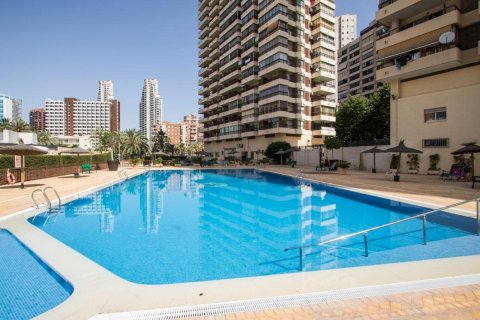 Wohnung zum Verkauf Benidorm, Alicante, Spanien 1 Schlafzimmer, 42 m2 Nr. 139700 - Foto 3