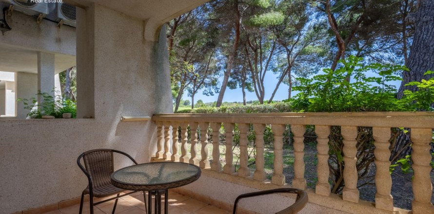 Apartment in Villacostas, Alicante, Spain 78 sq.m. No. 181668