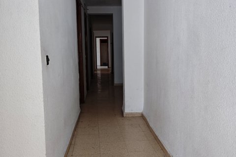 Apartament w Oliva, Valencia, Hiszpania 4 sypialnie, 119 mkw. nr 152974 – zdjęcie 4