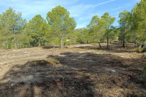 Terreno in vendita a L'Ametlla de Mar, Tarragona, Spagna 15000 mq. N° 152969 - foto 8