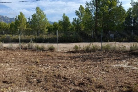 Terreno in vendita a L'Ametlla de Mar, Tarragona, Spagna 15000 mq. N° 152969 - foto 4