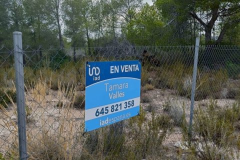 Terreno in vendita a L'Ametlla de Mar, Tarragona, Spagna 15000 mq. N° 152969 - foto 2