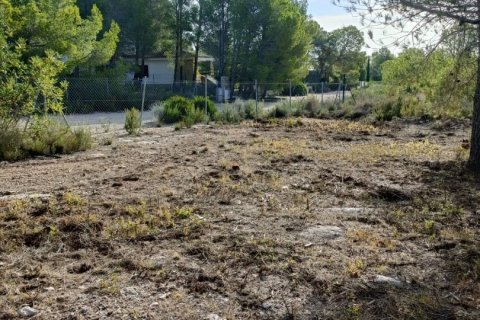 Terreno in vendita a L'Ametlla de Mar, Tarragona, Spagna 15000 mq. N° 152969 - foto 7