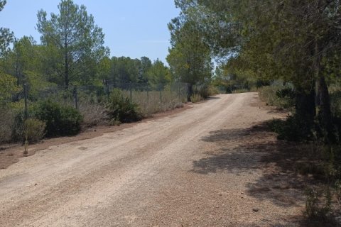 Terreno in vendita a L'Ametlla de Mar, Tarragona, Spagna 15000 mq. N° 152969 - foto 6