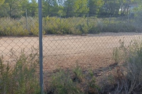 Terreno in vendita a L'Ametlla de Mar, Tarragona, Spagna 15000 mq. N° 152969 - foto 5