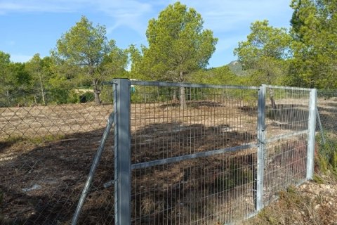 Terreno in vendita a L'Ametlla de Mar, Tarragona, Spagna 15000 mq. N° 152969 - foto 9