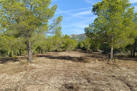 Terreno a L'Ametlla de Mar, Tarragona, Spagna 15000 mq. N° 152969