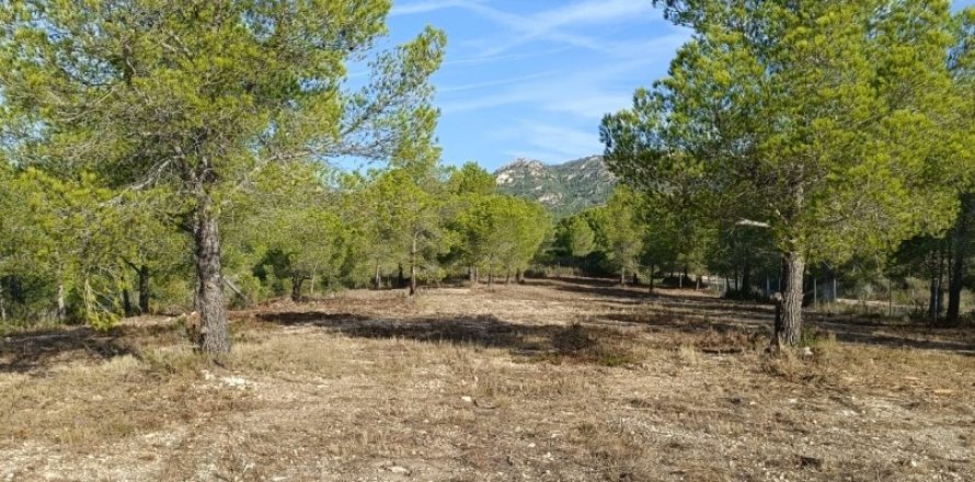 Terreno a L'Ametlla de Mar, Tarragona, Spagna 15000 mq. N° 152969