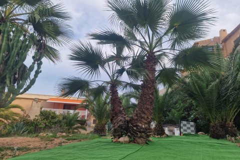 Bungalow till salu i La Mata, Alicante, Spanien Nr. 141391 - foto 21