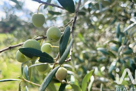 Māja pārdošanā Sencelles, Mallorca, Spānijā 2 istabas, 90 m2 Nr. 152898 - attēls 28