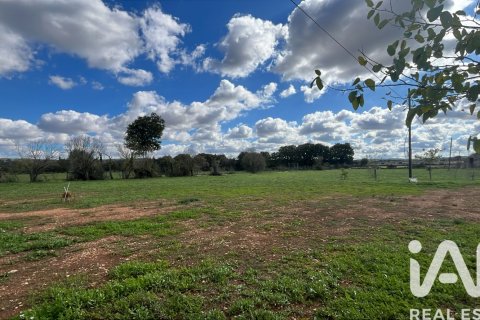 Māja pārdošanā Sencelles, Mallorca, Spānijā 2 istabas, 90 m2 Nr. 152898 - attēls 27