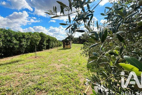 Māja pārdošanā Sencelles, Mallorca, Spānijā 2 istabas, 90 m2 Nr. 152898 - attēls 29