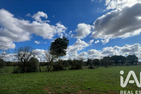 Māja pārdošanā Sencelles, Mallorca, Spānijā 2 istabas, 90 m2 Nr. 152898 - attēls 21