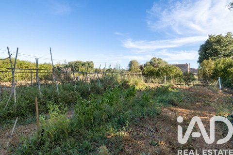Māja pārdošanā Sencelles, Mallorca, Spānijā 2 istabas, 90 m2 Nr. 152898 - attēls 20