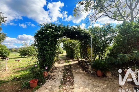 Māja pārdošanā Sencelles, Mallorca, Spānijā 2 istabas, 90 m2 Nr. 152898 - attēls 3