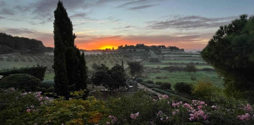 Finca in Lloret De Vistalegre, Mallorca, Spain 5 bedrooms, 549 sq.m. No. 164443