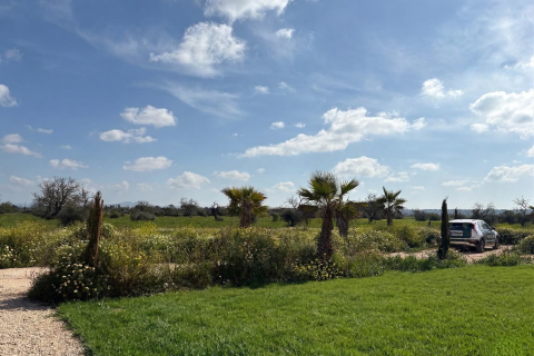 Finca for sale in Campos, Mallorca, Spain 4 bedrooms, 230 sq.m. No. 164442 - photo 2