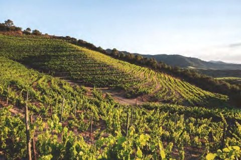 Apartment à vendre à Barcelona, Espagne, 2 chambres, 110 m2 No. 142982 - photo 8