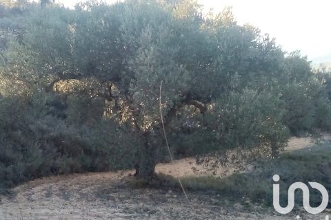 Propiedad comercial en venta en Riba-roja d'Ebre, Tarragona, España No. 185816 - foto 6