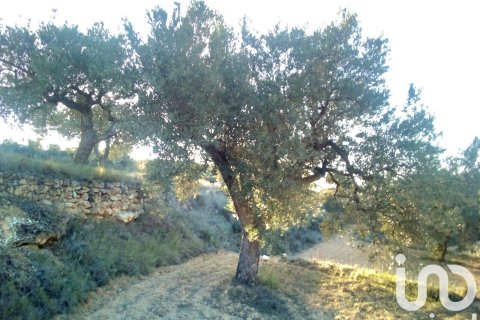 Propiedad comercial en venta en Riba-roja d'Ebre, Tarragona, España No. 185816 - foto 7