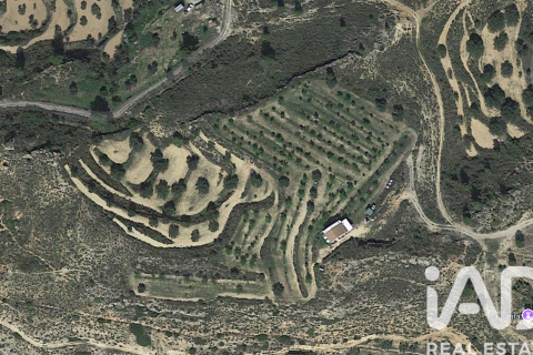 Gewerbeimmobilien in Riba-roja d'Ebre, Tarragona, Spanien Nr. 185816