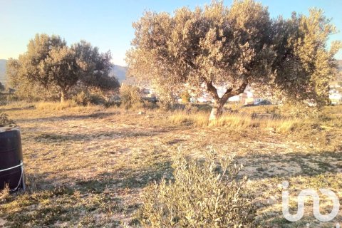 Propiedad comercial en venta en Riba-roja d'Ebre, Tarragona, España No. 185816 - foto 8