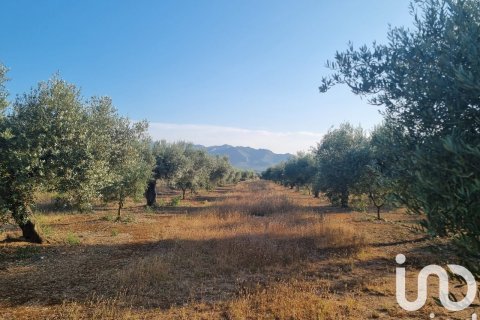 Parcela en venta en Ginestar, Tarragona, España 6093 m2 No. 185815 - foto 13