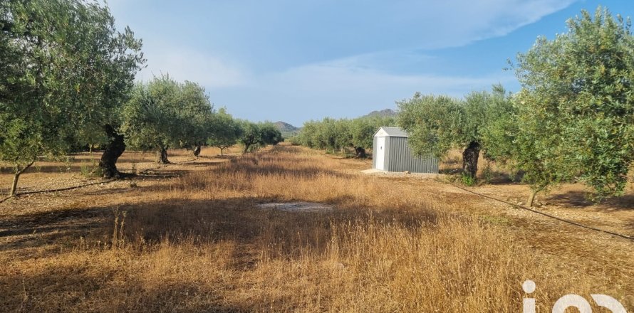 Parcela en Ginestar, Tarragona, España 6093 m2 No. 185815