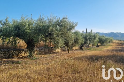 Parcela en venta en Ginestar, Tarragona, España 6093 m2 No. 185815 - foto 9