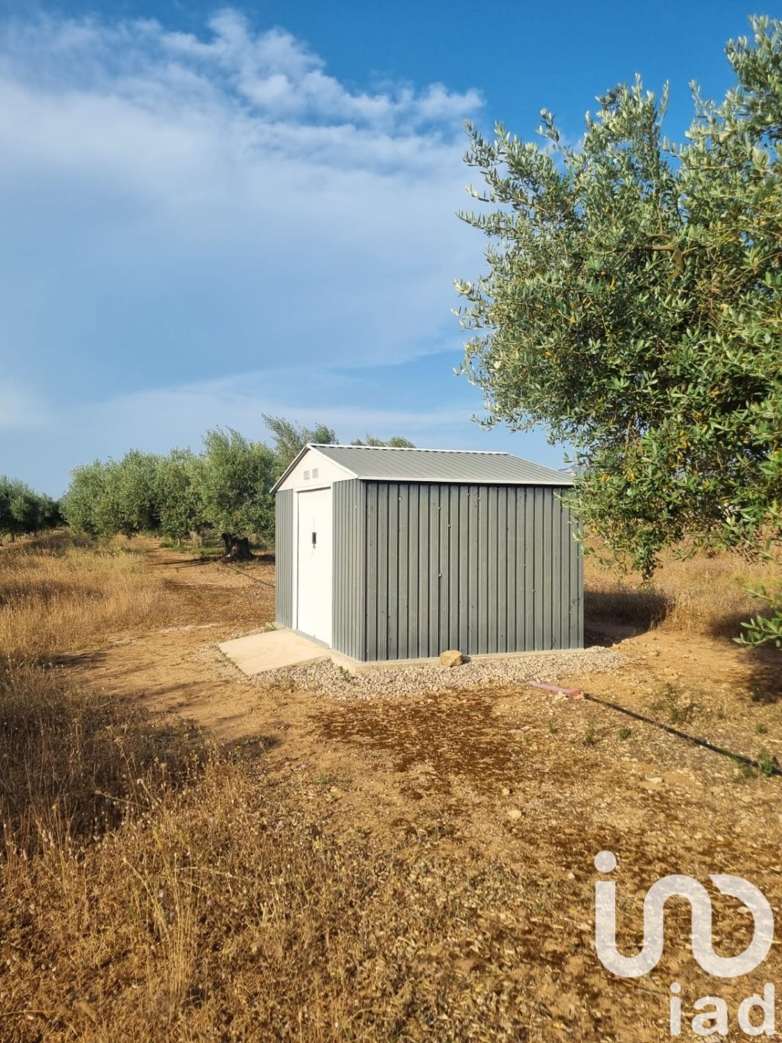 Land plot à Ginestar, Tarragona, Espagne 6093 m2 No. 185815