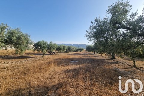 Parcela en venta en Ginestar, Tarragona, España 6093 m2 No. 185815 - foto 6